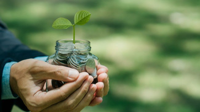 Mãos segurando pote de vidro com moedas e broto de planta, simbolizando crescimento sustentável, gestão previdenciária responsável e fortalecimento financeiro dos RPPS.